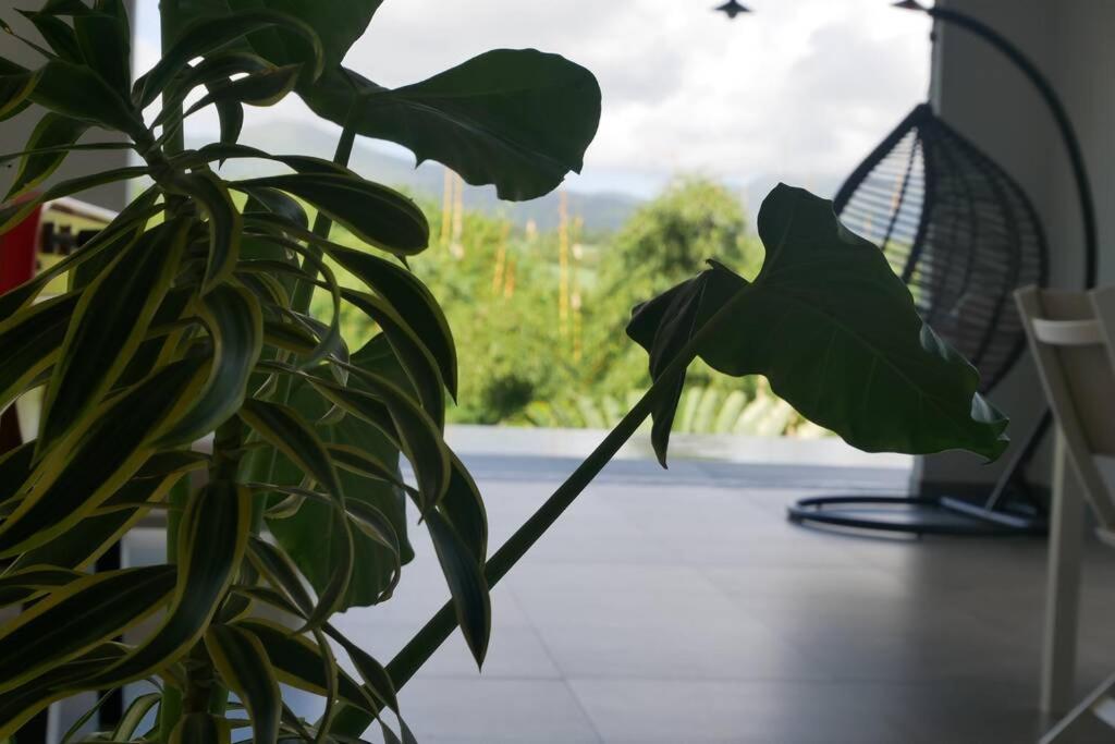 Villa Kumquat Avec Piscine Et Vue Sur Les Montagnes Petit-Bourg Exterior photo
