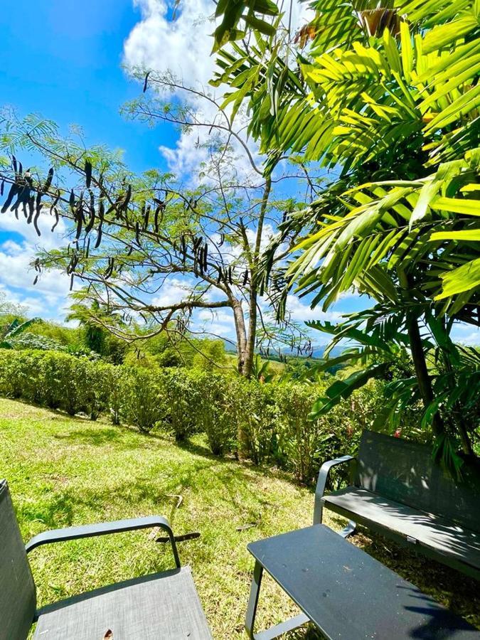 Villa Kumquat Avec Piscine Et Vue Sur Les Montagnes Petit-Bourg Exterior photo